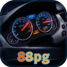 88pg